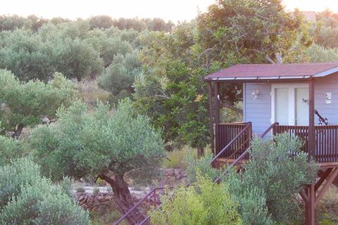 Landejendom i L'Ampolla, Tarragona, L'Ampolla - € 459.000 | Ref: Finca Bouddha - foto 4